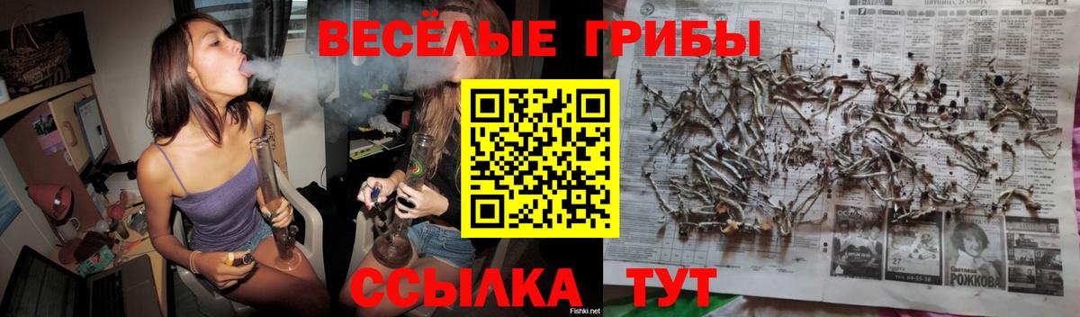 Псилоцибиновые грибы MAGIC MUSHROOMS  Вход с VPN  Белогорск  где найти наркотики  Галлюциногенные грибы Magic Shrooms 