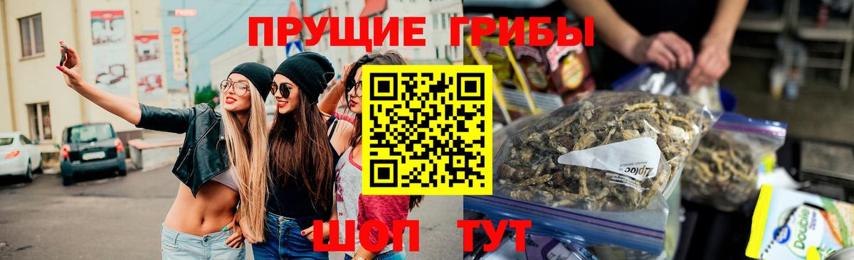 Галлюциногенные грибы Psilocybe Белогорск